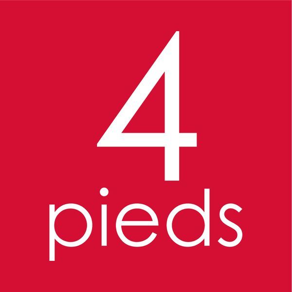 favicon 4 pieds